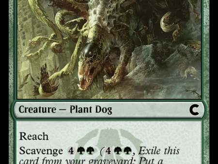 Thrashing Mossdog [Ravnica: Clue Edition] Sale