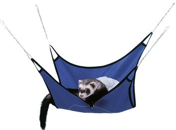 FERRET HAMMOCK For Sale