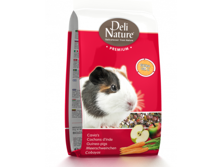 DN GUINEA PIGS Online Hot Sale