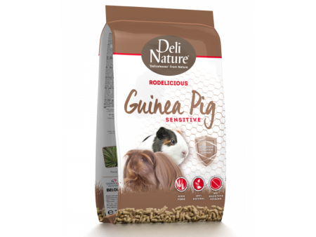 DN RODEL GUINEA-PIGS SENSITIVE on Sale